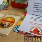 zdjęcie nr 8