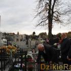 zdjęcie nr 21