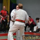 zdjęcie nr 138