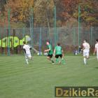 zdjęcie nr 98