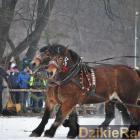 zdjęcie nr 92