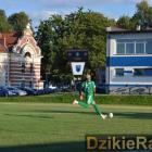 zdjęcie nr 16