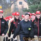 zdjęcie nr 11
