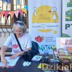 zdjęcie nr 55
