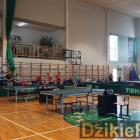zdjęcie nr 28