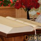 zdjęcie nr 30