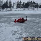 Fotka nr 5 z 7