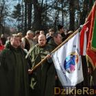 zdjęcie nr 50