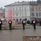 zdjęcie nr 15