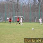 zdjęcie nr 207