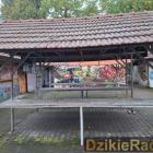 Fot: DzikieRadio®