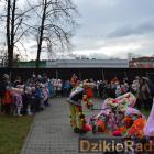 zdjęcie nr 49
