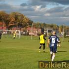 zdjęcie nr 11