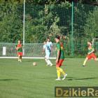 zdjęcie nr 178
