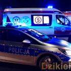 Fotka nr 4 z 9