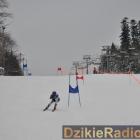 Fotka nr 4 z 274