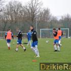 Fotka nr 3 z 233