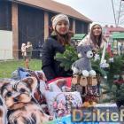 zdjęcie nr 35