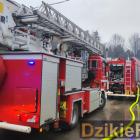 zdjęcie nr 10