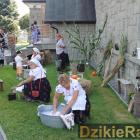 zdjęcie nr 85
