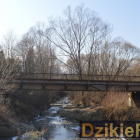 zdjęcie nr 13
