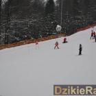 zdjęcie nr 186