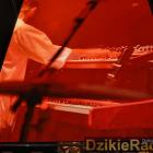 zdjęcie nr 266