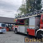 zdjęcie nr 177