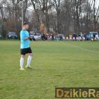 zdjęcie nr 8