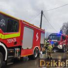 zdjęcie nr 17