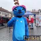 zdjęcie nr 137