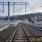 zdjęcie nr 8