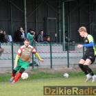 zdjęcie nr 14