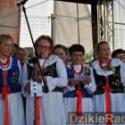 zdjęcie nr 178