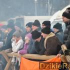 zdjęcie nr 74