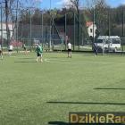 zdjęcie nr 12