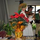 zdjęcie nr 177