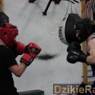 zdjęcie nr 12