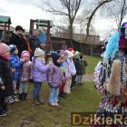 zdjęcie nr 14