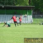 zdjęcie nr 121
