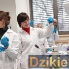 Fot. I Liceum Ogólnokształcące w Żywcu 