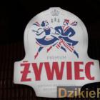 zdjęcie nr 31