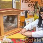 zdjęcie nr 81