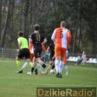 zdjęcie nr 37
