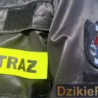 zdjęcie nr 51