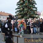 zdjęcie nr 177