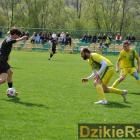 zdjęcie nr 31