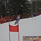 zdjęcie nr 146