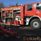 Fotka nr 4 z 74