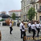 zdjęcie nr 256